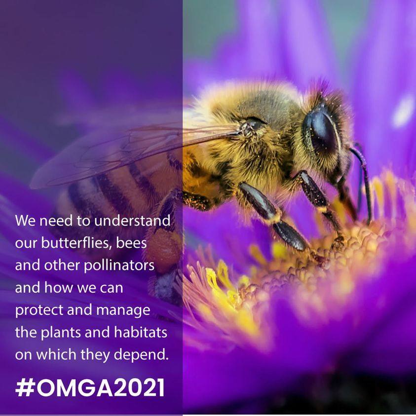 OSU Master Gardeners
